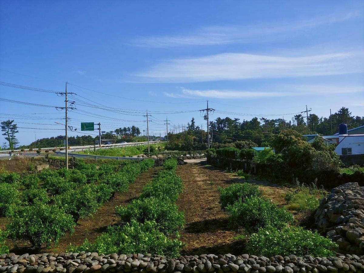 Orchard Samdal Villa Seogwipo Luaran gambar